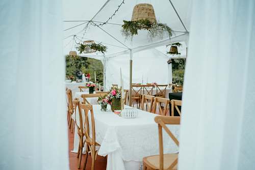 linen pink petaled-flower arrangement on table tablecloth